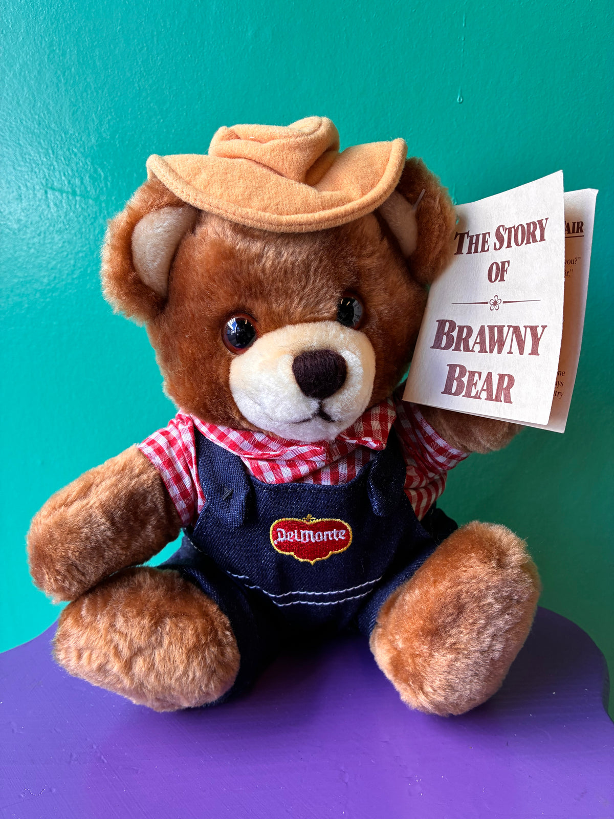 Dakin・DelMonte・Brawny Bear / デルモンテ・ブラウニー・ベア・ぬいぐるみ