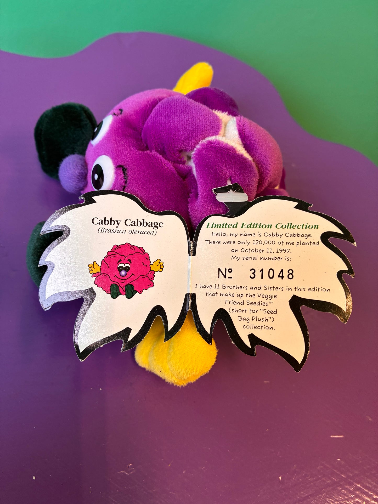 1990's・Veggie Friend Seedies・Cabby Cabbage・Beanbag Plush / ベジフレンズ・紫キャベツ・ぬいぐるみ