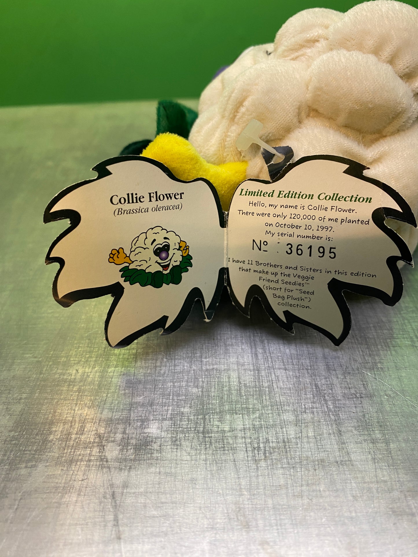 1990's・Veggie Friend Seedies・Collie Flower・Beanbag Plush / ベジフレンズ・カリフラワー・ぬいぐるみ