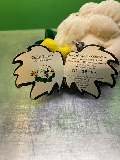 1990's・Veggie Friend Seedies・Collie Flower・Beanbag Plush / ベジフレンズ・カリフラワー・ぬいぐるみ