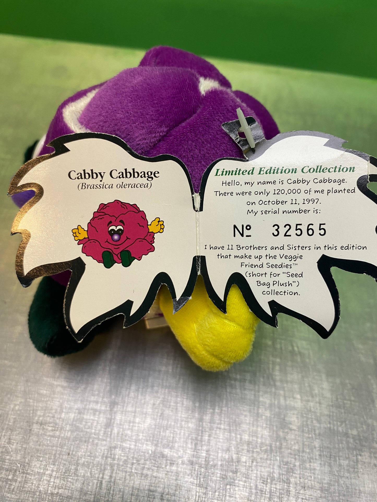 1990's・Veggie Friend Seedies・Cabby Cabbage・Beanbag Plush / ベジフレンズ・紫キャベツ・ぬいぐるみ