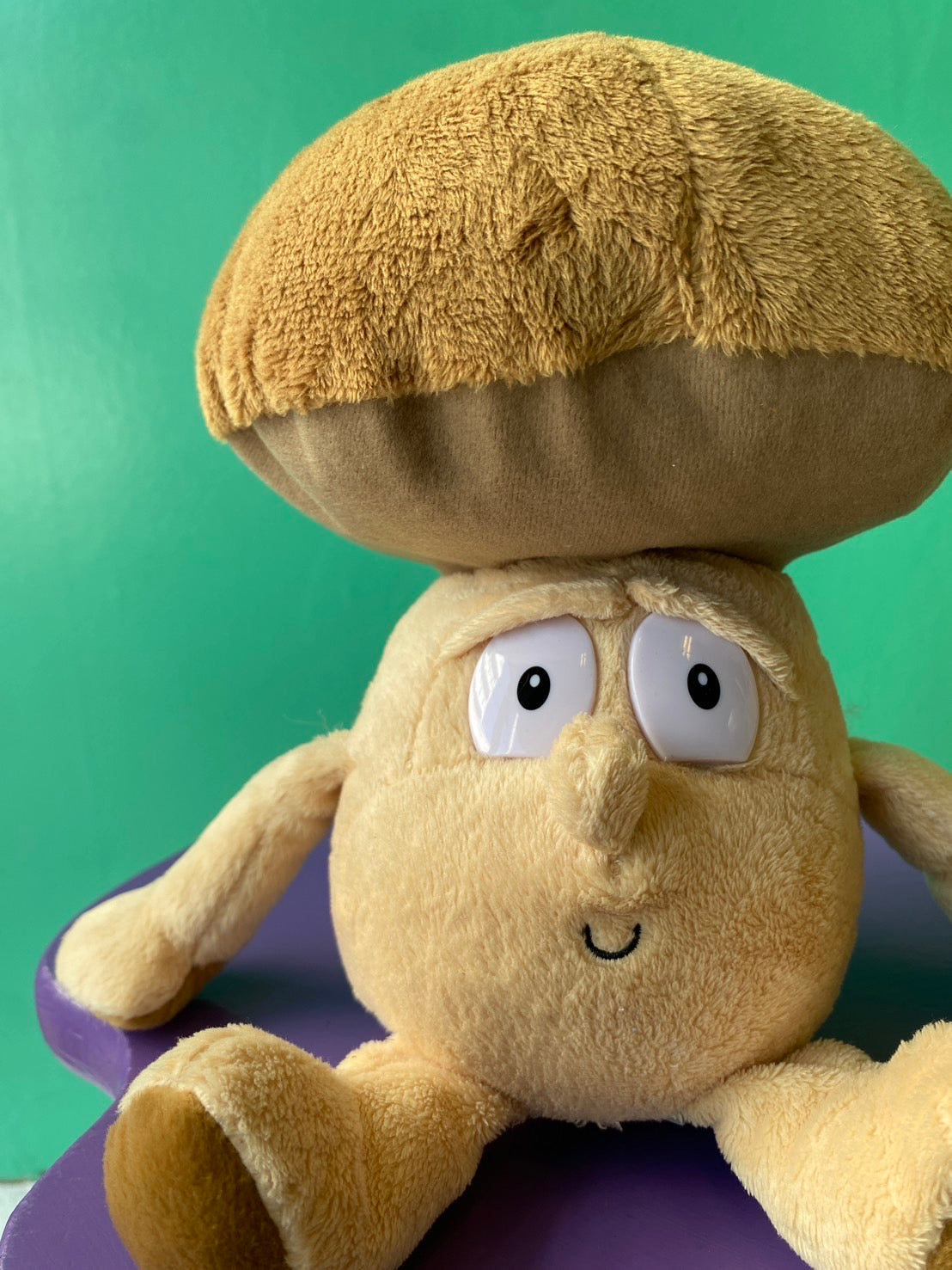 Goodness Gang・Super Foodz・Mike Mushroom  / グッドネスギャング スーパーフーズ・マイク マッシュルーム・ぬいぐるみ