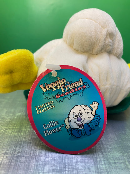 1990's・Veggie Friend Seedies・Collie Flower・Beanbag Plush / ベジフレンズ・カリフラワー・ぬいぐるみ