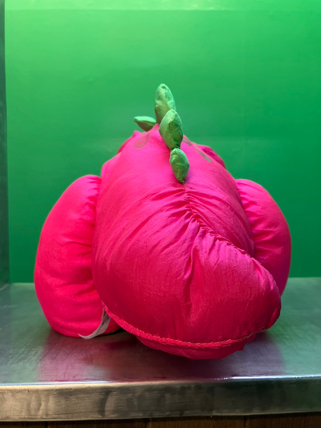 1993・Dino Roars・Fisher-Price / フィッシャープライス・ディノロアーズ・トリケラトプス・ぬいぐるみ